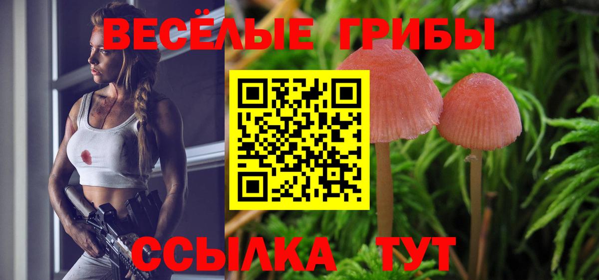 Псилоцибиновые грибы мухоморы Кирово-Чепецк