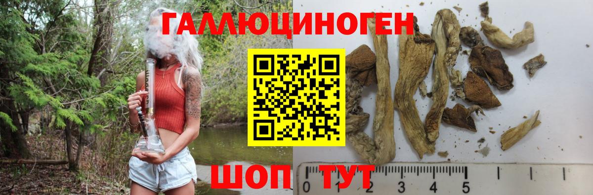 Кирово-Чепецк  Псилоцибиновые грибы мухоморы  Вход с VPN 